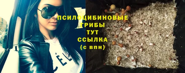 mdma Ельня