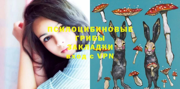 mdma Ельня