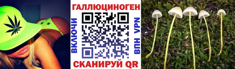 Галлюциногенные грибы Cubensis  Первоуральск 